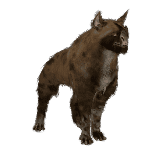 Raksa Kubrow