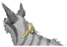 Kavasa Prime Buckle