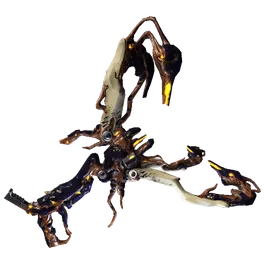 Paracyst